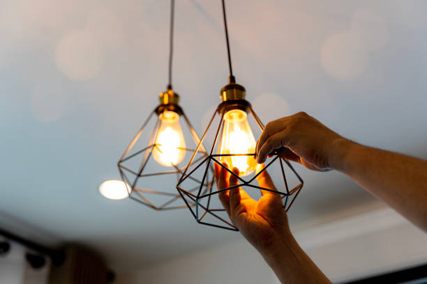 Best Electric Panel Repair  in Delavan, WI
